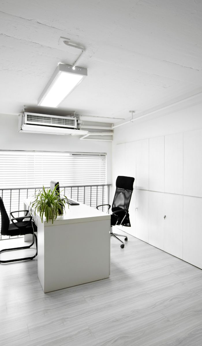 What role does cleanliness play in workplace productivity?