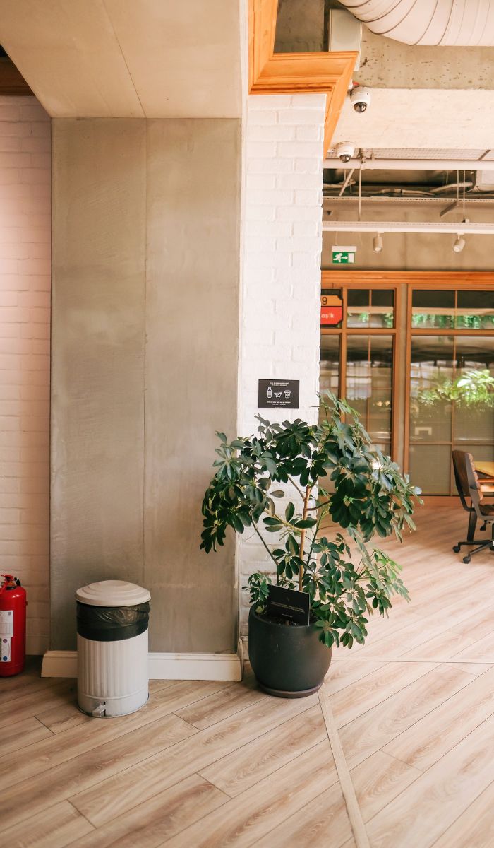 Office Hygiene Habits That Complement Professional Cleaning