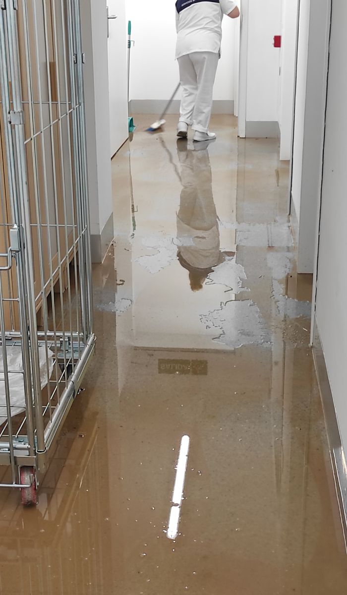 How Commercial Cleaning Keeps Workplaces Safe and Hygienic